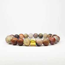 Load image into Gallery viewer, Petrified Wood
