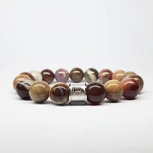 Load image into Gallery viewer, Petrified Wood