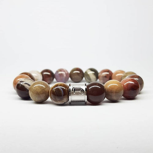 Petrified Wood